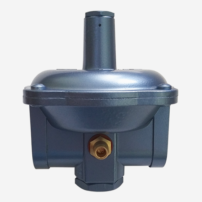 Регулятор давления газа