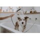 Ручний душ hansgrohe DogShower 150 3jet 26640670 чорний матовий