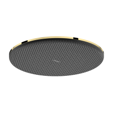 Верхній душ hansgrohe Raindance Alive S, 300 1jet 24520990, золото