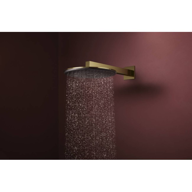 Верхній душ hansgrohe Raindance Alive S, 300 1jet 24520990, золото