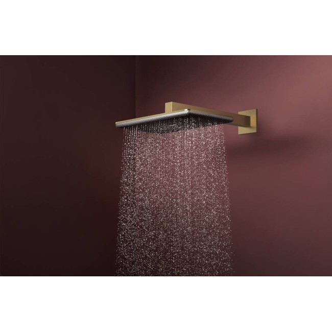 Верхний душ Raindance Alive Q 210/340 2jet EcoSmart с держателем, 24551140 бронза