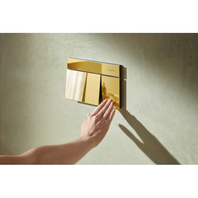 Змивна клавіша hansgrohe iFrame Element E 66003990, золото