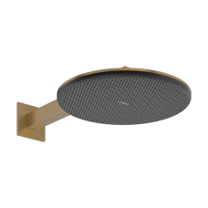 Верхній душ Raindance Alive S 300 2jet EcoSmart з тримачем, 24541140 бронза