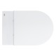 Grohe Solido Compact Комплект 5-в-1 для унитаза. (103843SH00)