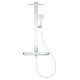 GROHE SPA Rainshower Aqua Pure Душова система з термостатом для настінного монтажу (1016800000)