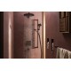 Ручной душ hansgrohe Raindance Alive Select S, 24512670 EcoSmart+, черный матовый