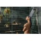 Штанга для душу hansgrohe WallStoris Planet Edition 70 см, пісок 28911210