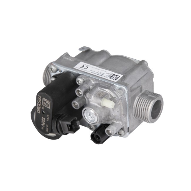 Газовый клапан (3000001924),