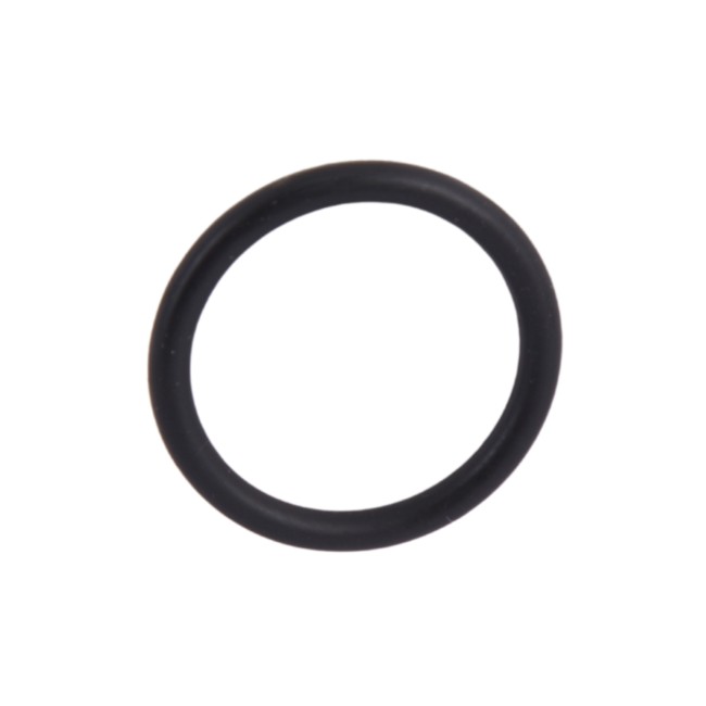 Thermo Alliance Ewa 24 Запчасть: уплотнительное кольцо для ниппеля 20,29×2,62 мм (15311009000014)