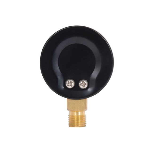 Манометр Thermo Alliance Standart 50 мм 1/4", нижнє підмикання SD1706B