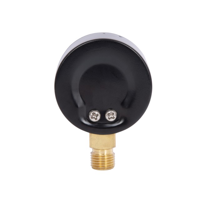 Манометр Thermo Alliance Standart 10 бар 1/4", нижнє підмикання SD17010B