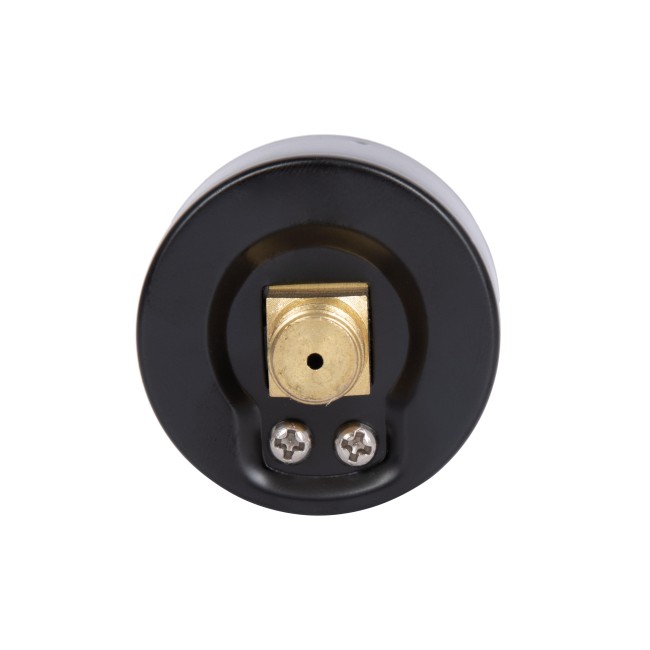 Манометр Thermo Alliance Standart 6 бар 1/4" , заднє підмикання SD1716B