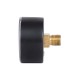 Манометр Thermo Alliance Standart 6 бар 1/4" , заднє підмикання SD1716B