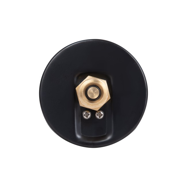 Термоманометр Thermo Alliance Standart 80 мм 1/2", заднє підключення SD17310B