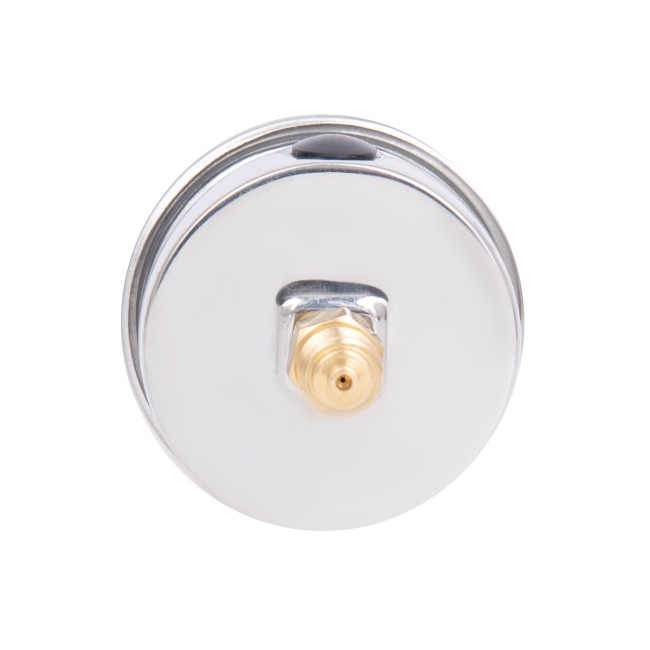 Манометр гліцериновий Thermo Alliancе Forte d63 мм, 1/4"З із заднім підключенням (латун.) 0-10 бар TAF171G10B