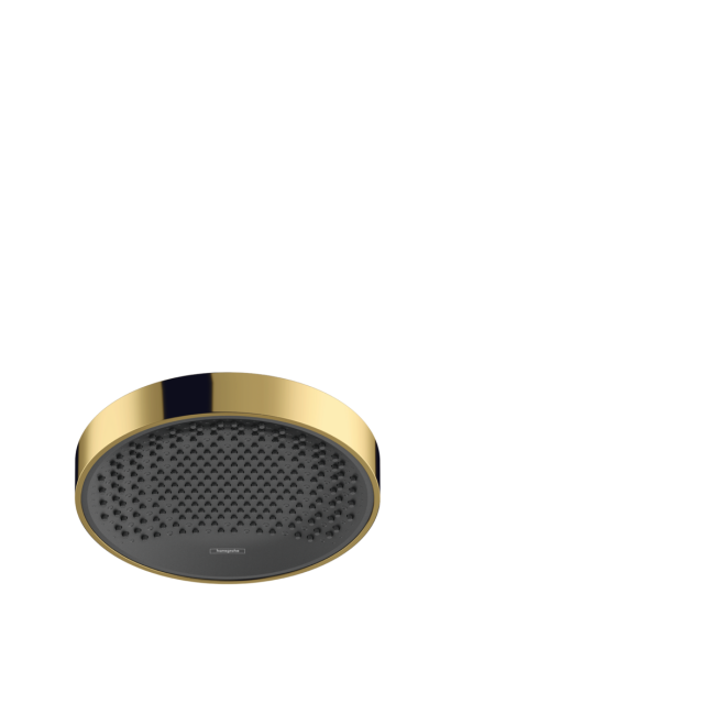 Верхний душ hansgrohe Rainfinity 250 1jet 26228990 золото